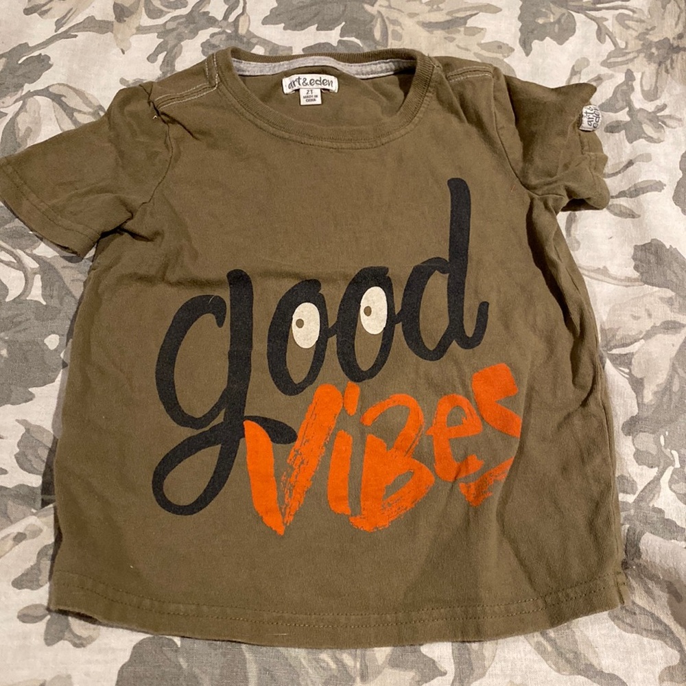 2t toddler boy organic art & Eden tshirt